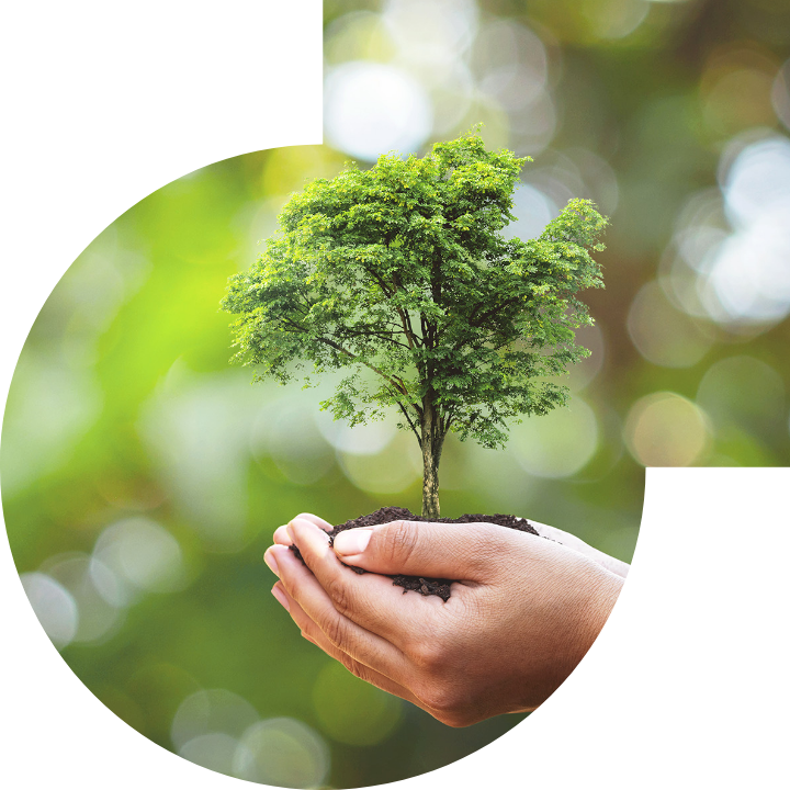 关怀人类、文化、环境与社会